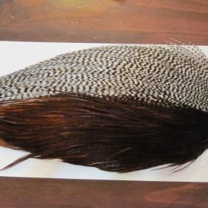 Whiting Bronze High&Dry Combo